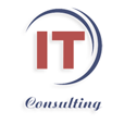 IT CONSULTING